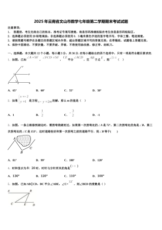 2025年云南省文山市数学七年级第二学期期末考试试题含解析