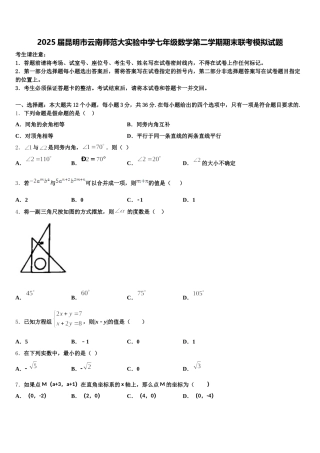 2025届昆明市云南师范大实验中学七年级数学第二学期期末联考模拟试题含解析