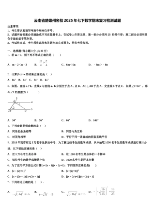 云南省楚雄州名校2025年七下数学期末复习检测试题含解析