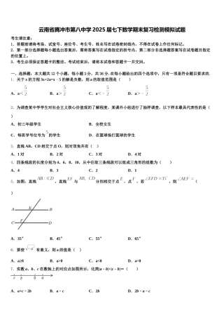 云南省腾冲市第八中学2025届七下数学期末复习检测模拟试题含解析