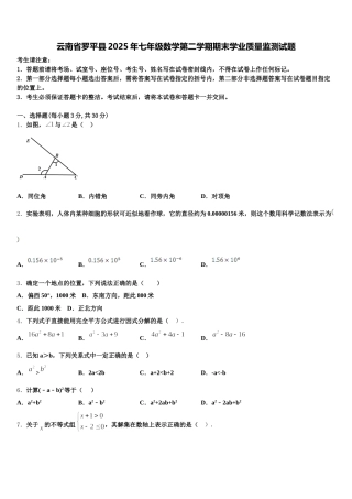 云南省罗平县2025年七年级数学第二学期期末学业质量监测试题含解析
