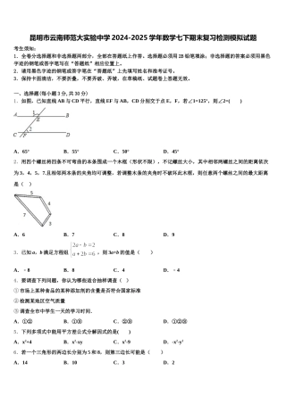 昆明市云南师范大实验中学2024-2025学年数学七下期末复习检测模拟试题含解析