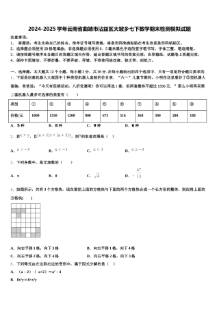 2024-2025学年云南省曲靖市沾益区大坡乡七下数学期末检测模拟试题含解析