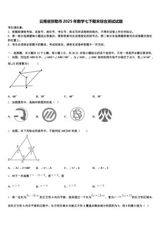 云南省弥勒市2025年数学七下期末综合测试试题含解析