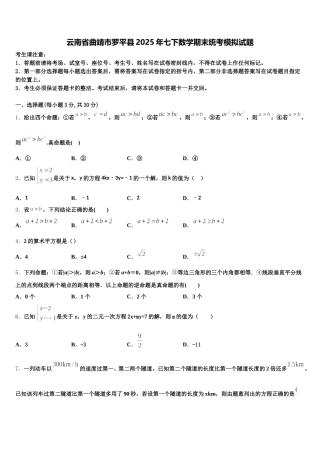 云南省曲靖市罗平县2025年七下数学期末统考模拟试题含解析