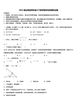 2025届云南省师宗县七下数学期末检测模拟试题含解析