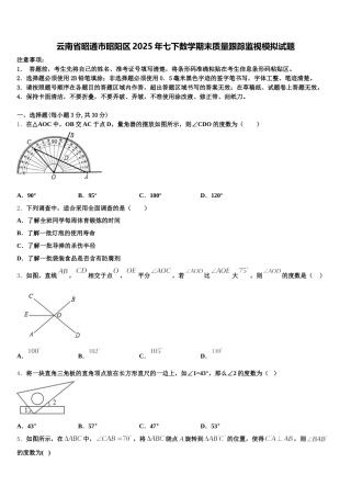 云南省昭通市昭阳区2025年七下数学期末质量跟踪监视模拟试题含解析
