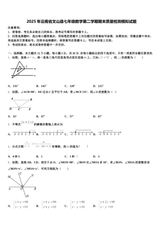 2025年云南省文山县七年级数学第二学期期末质量检测模拟试题含解析
