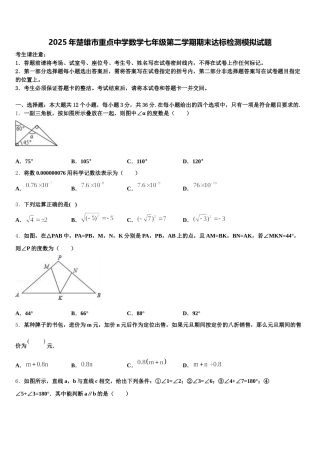 2025年楚雄市重点中学数学七年级第二学期期末达标检测模拟试题含解析