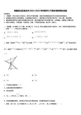 西藏自治区昌吉州2024-2025学年数学七下期末调研模拟试题含解析