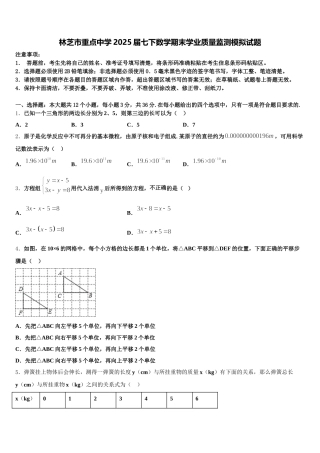 林芝市重点中学2025届七下数学期末学业质量监测模拟试题含解析