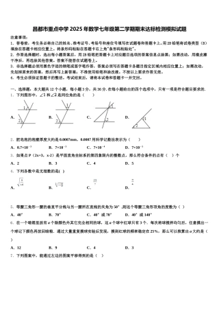 昌都市重点中学2025年数学七年级第二学期期末达标检测模拟试题含解析