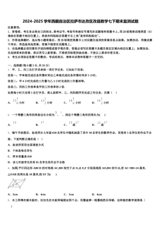 2024-2025学年西藏自治区拉萨市达孜区孜县数学七下期末监测试题含解析