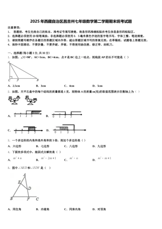 2025年西藏自治区昌吉州七年级数学第二学期期末统考试题含解析