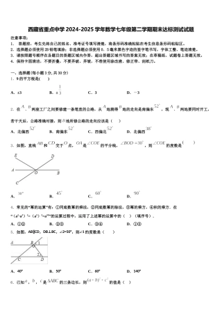西藏省重点中学2024-2025学年数学七年级第二学期期末达标测试试题含解析