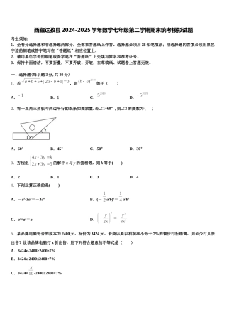 西藏达孜县2024-2025学年数学七年级第二学期期末统考模拟试题含解析