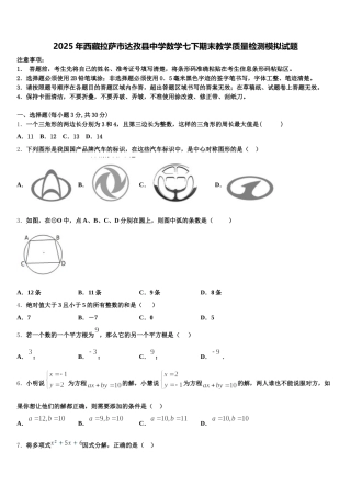 2025年西藏拉萨市达孜县中学数学七下期末教学质量检测模拟试题含解析
