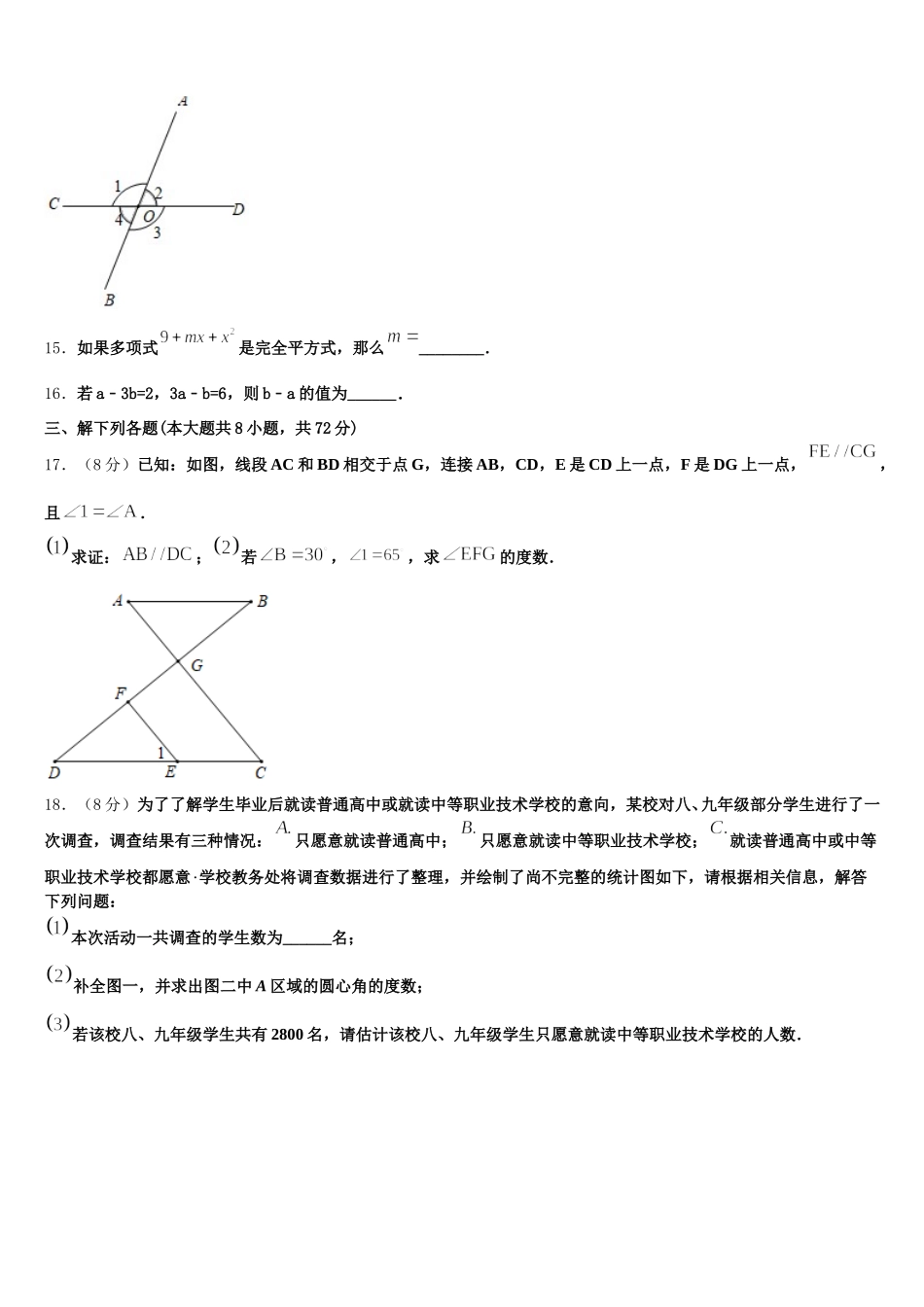 2024-2025学年安徽省合肥二中学内地西藏班（学校）七年级数学第二学期期末考试试题含解析_第3页