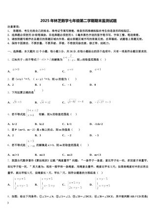 2025年林芝数学七年级第二学期期末监测试题含解析