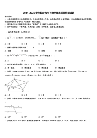 2024-2025学年拉萨市七下数学期末质量检测试题含解析
