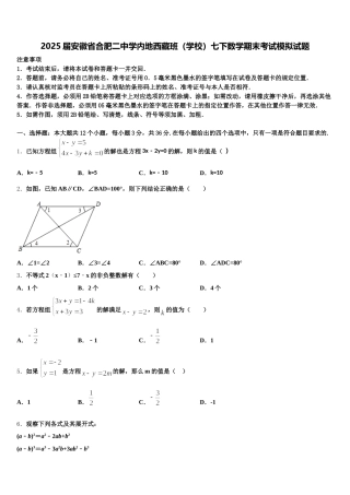 2025届安徽省合肥二中学内地西藏班（学校）七下数学期末考试模拟试题含解析