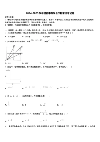 2024-2025学年昌都市数学七下期末统考试题含解析