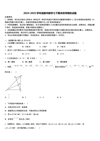 2024-2025学年昌都市数学七下期末统考模拟试题含解析