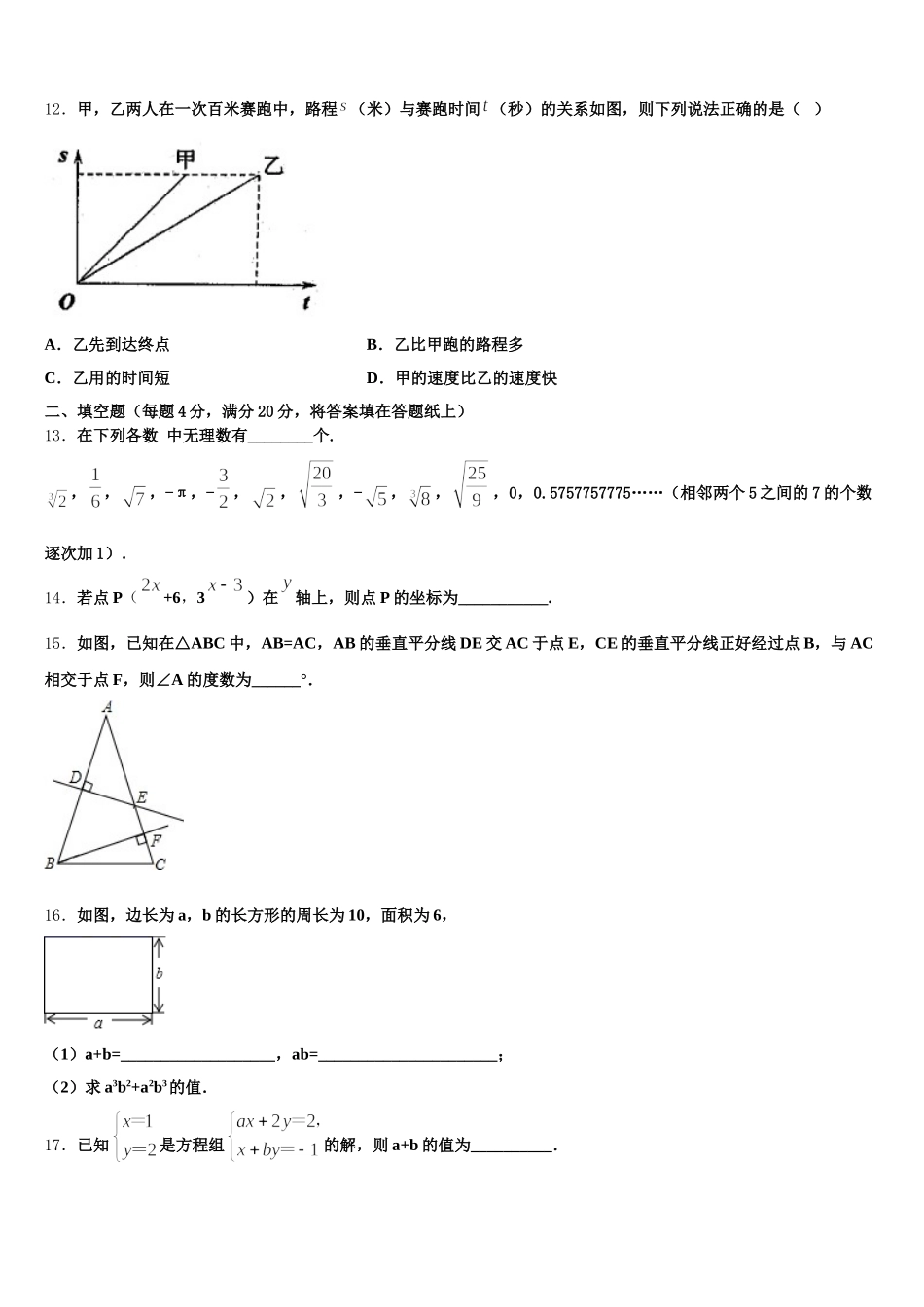 2024-2025学年临沂市七下数学期末学业水平测试模拟试题含解析_第3页