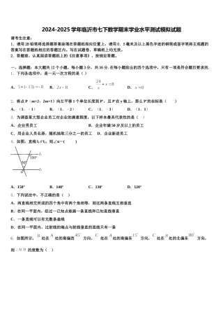 2024-2025学年临沂市七下数学期末学业水平测试模拟试题含解析