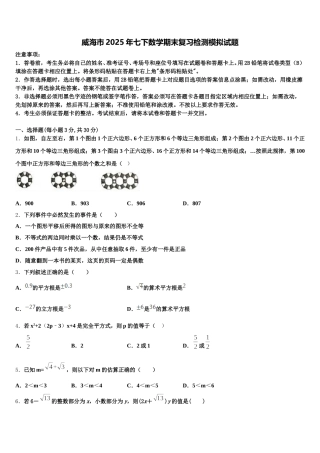 威海市2025年七下数学期末复习检测模拟试题含解析
