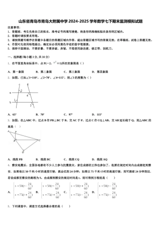 山东省青岛市青岛大附属中学2024-2025学年数学七下期末监测模拟试题含解析