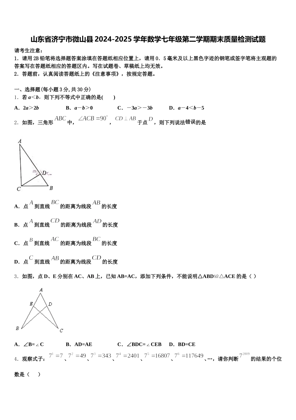 山东省济宁市微山县2024-2025学年数学七年级第二学期期末质量检测试题含解析_第1页