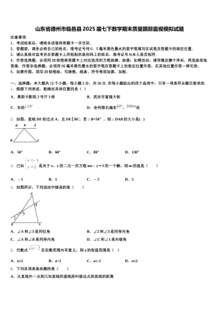 山东省德州市临邑县2025届七下数学期末质量跟踪监视模拟试题含解析
