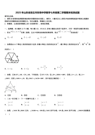 2025年山东省安丘市东埠中学数学七年级第二学期期末检测试题含解析