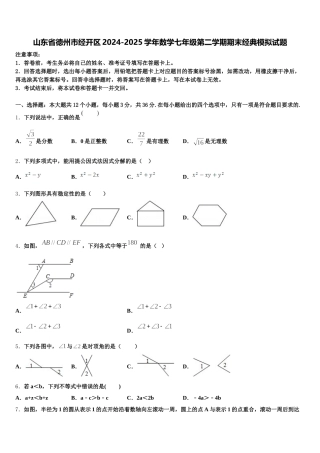 山东省德州市经开区2024-2025学年数学七年级第二学期期末经典模拟试题含解析