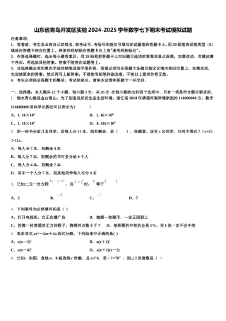 山东省青岛开发区实验2024-2025学年数学七下期末考试模拟试题含解析