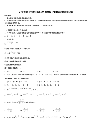 山东省滨州市博兴县2025年数学七下期末达标检测试题含解析