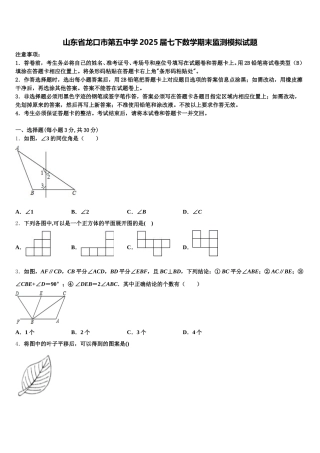 山东省龙口市第五中学2025届七下数学期末监测模拟试题含解析