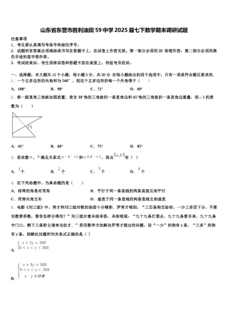 山东省东营市胜利油田59中学2025届七下数学期末调研试题含解析