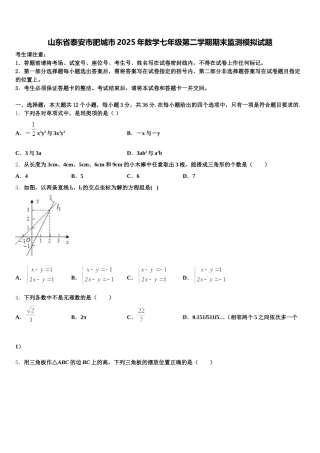 山东省泰安市肥城市2025年数学七年级第二学期期末监测模拟试题含解析