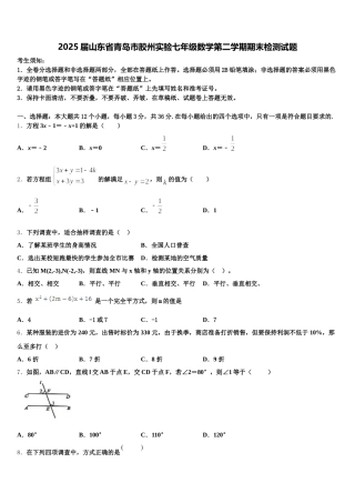 2025届山东省青岛市胶州实验七年级数学第二学期期末检测试题含解析
