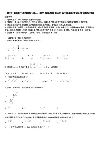山东省日照市宁波路学校2024-2025学年数学七年级第二学期期末复习检测模拟试题含解析