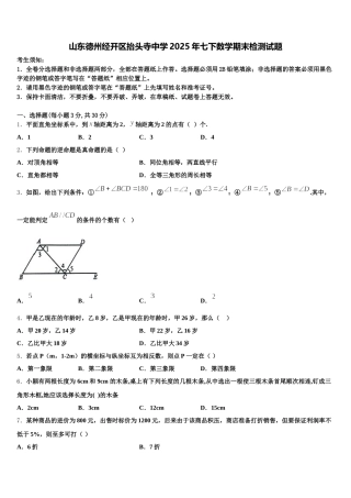 山东德州经开区抬头寺中学2025年七下数学期末检测试题含解析