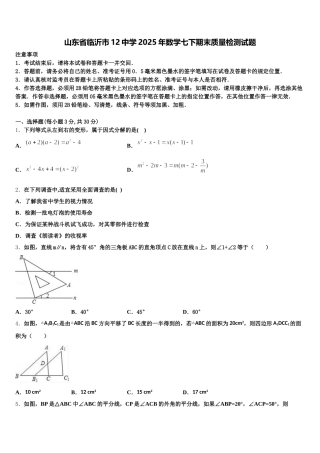 山东省临沂市12中学2025年数学七下期末质量检测试题含解析