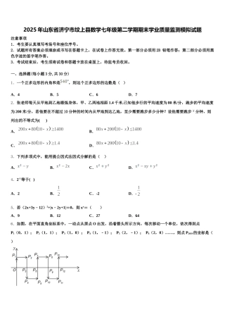 2025年山东省济宁市坟上县数学七年级第二学期期末学业质量监测模拟试题含解析