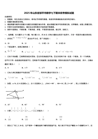 2025年山东省邹平市数学七下期末统考模拟试题含解析