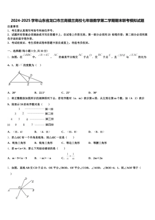 2024-2025学年山东省龙口市兰高镇兰高校七年级数学第二学期期末联考模拟试题含解析