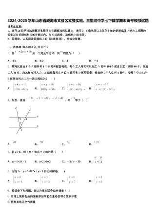 2024-2025学年山东省威海市文登区文登实验、三里河中学七下数学期末统考模拟试题含解析