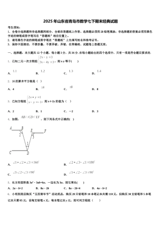 2025年山东省青岛市数学七下期末经典试题含解析