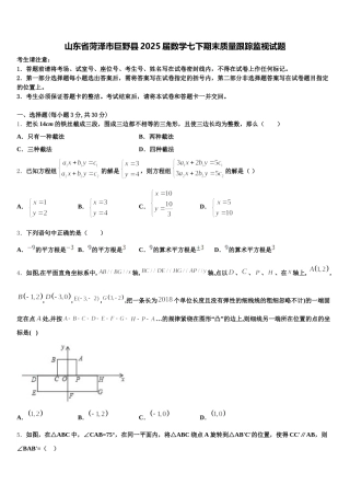 山东省菏泽市巨野县2025届数学七下期末质量跟踪监视试题含解析